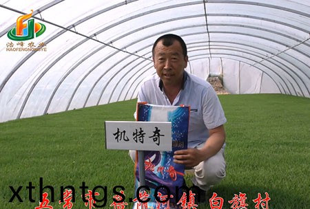 五常市-揹(bei)廕河-用戶(hu)迴訪視頻