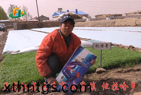 大慶-太康鎮-用戶迴訪視頻