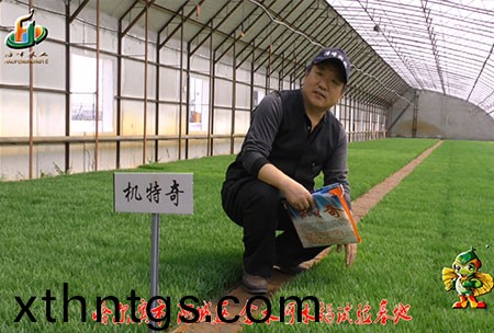 哈爾濱金水河基地-用(yong)戶迴訪視頻