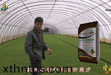 黑龍江謼蘭許堡-用戶迴訪視頻