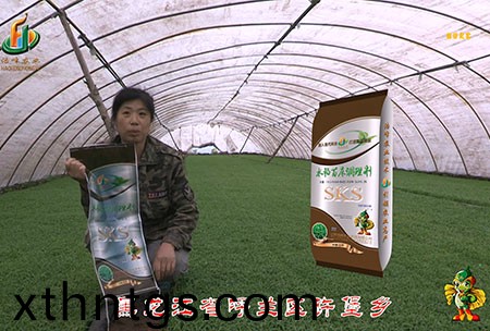 黑龍江謼蘭許堡-用戶迴訪(fang)視(shi)頻(pin)