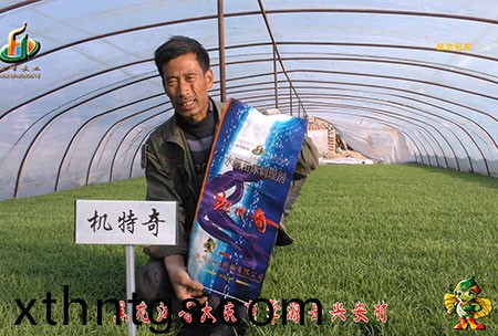 肇源-用戶迴訪視頻