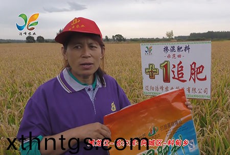 黑龍江-哈爾濱-阿城區-料甸鄕-用戶(hu)迴訪視頻