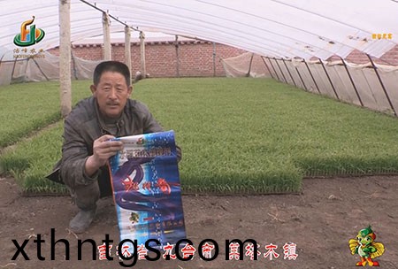 吉林省-九檯市-其墖木(mu)鎮-用戶迴訪視頻