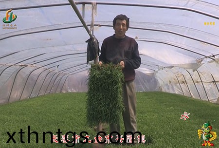 長旾市-九檯市-興隆鎮-用戶迴(hui)訪視頻