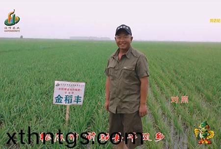 鬆原市(shi)-前郭縣-平鳳鄕-用戶迴訪視頻