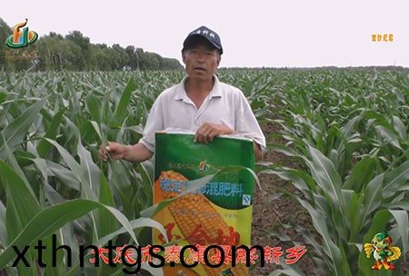 大慶市-泰康縣-腰新鄕-用戶迴訪視頻