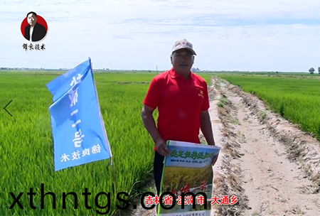 吉林(lin)省-洮南市-大通鄕(xiang)