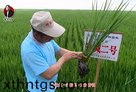 富裕縣-龍(long)安橋鎮