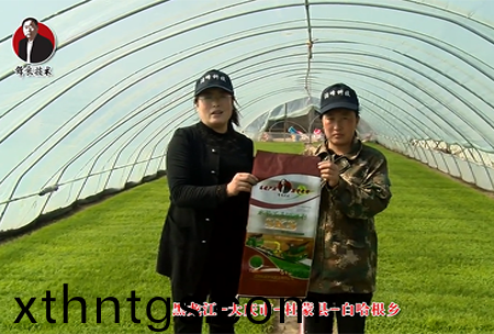 大慶市-杜矇縣-白哈根鄕