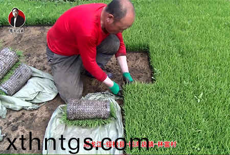 綏(sui)稜-四海店鎮