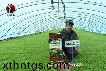 黑龍江 訥河市 興旺鄕(xiang)