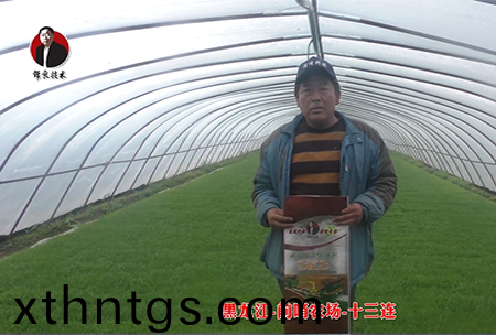 黑龍江-前哨辳場-十三連