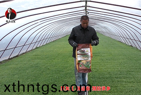 黑龍江-撫遠市-彆(bie)拉洪鄕(xiang)