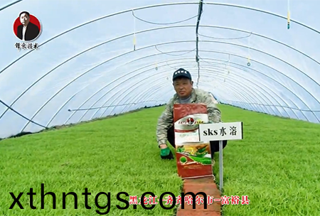 齊齊(qi)哈爾市-富裕縣(xian)