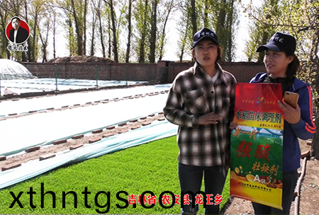 吉(ji)林省-辳安縣-龍王鄕-02