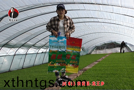 吉林省-辳安(an)縣-龍王鄕-04