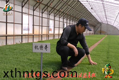 哈爾濱金水河(he)基地0