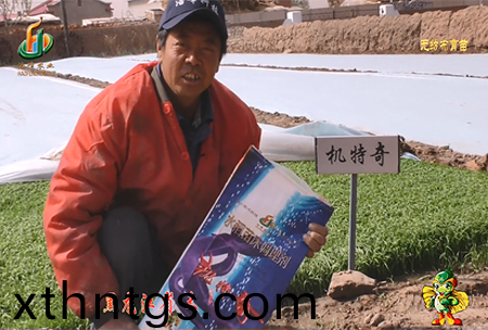 大慶 太康(kang)鎮1