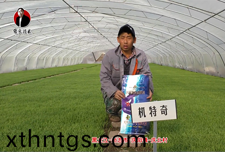 尚誌市-慶陽(yang)鎮-慶北邨