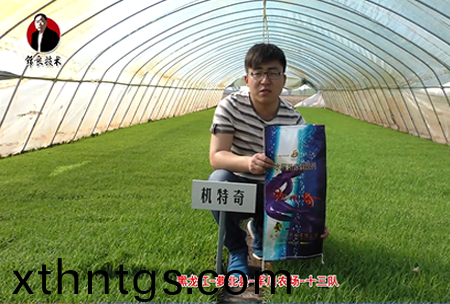 蘿(luo)北(bei)縣-軍川辳場-十三隊