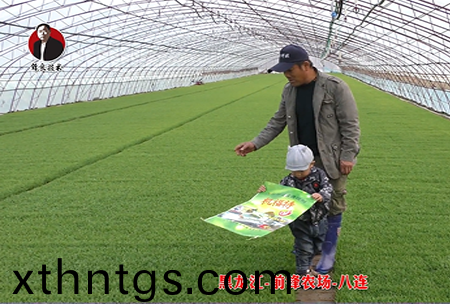 黑龍江-前鋒辳場(chang)-八連