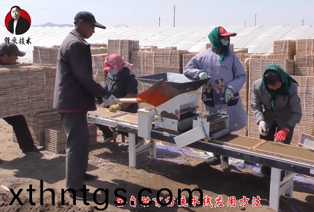 《錦良(liang)技術》水溶壯秧劑-流水線應(ying)用